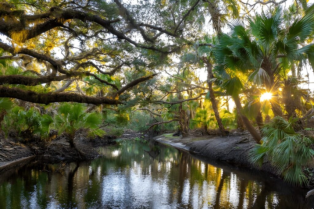 Crystal-clear blue water and tropical trees at Florida Springs – hidden gem in Florida
