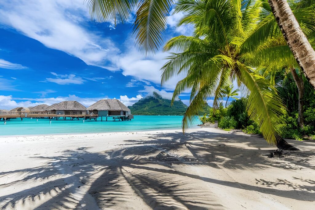 local market with colorful stalls and happy sellers